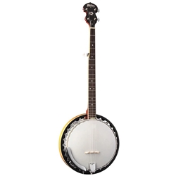 Washburn B9 5-string Resonator Banjo