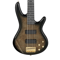 Ibanez GSR205PC Electric Bass Guitar Transparent Pale Black Burst