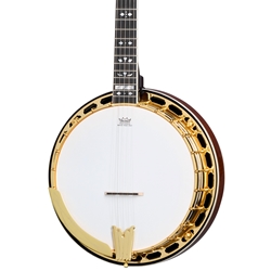 Epiphone Earl Scruggs Golden Deluxe Banjo